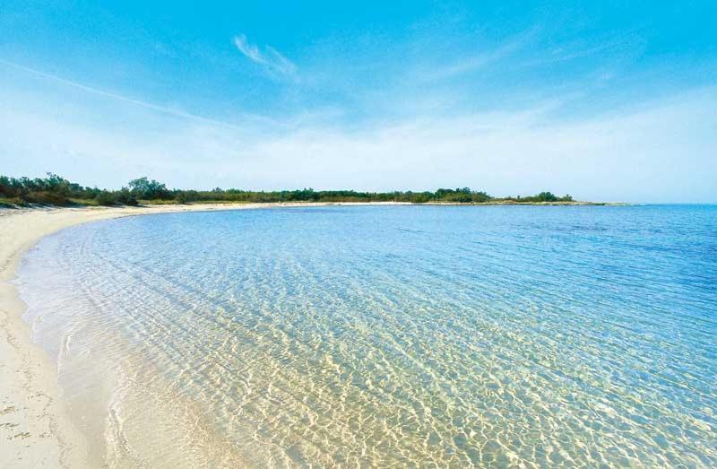 La Dimora Di Netta Villa Carovigno Luaran gambar